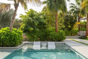 6 Ways To Choose The Perfect Plants For Your Villa Landscape